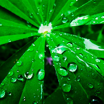 报复骗子轰炸神器