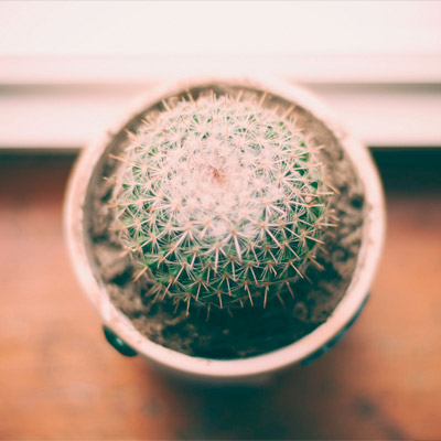 【MAC版】适配的电话压测工具