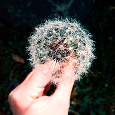 手机号轰炸业务网